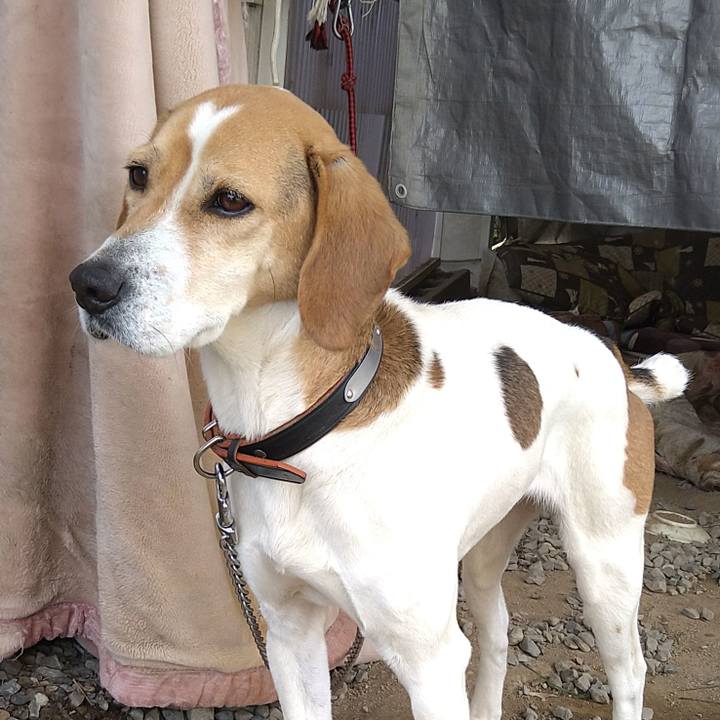 90a9620a d369 4fe5 9888 97c435aef434 1647748675509