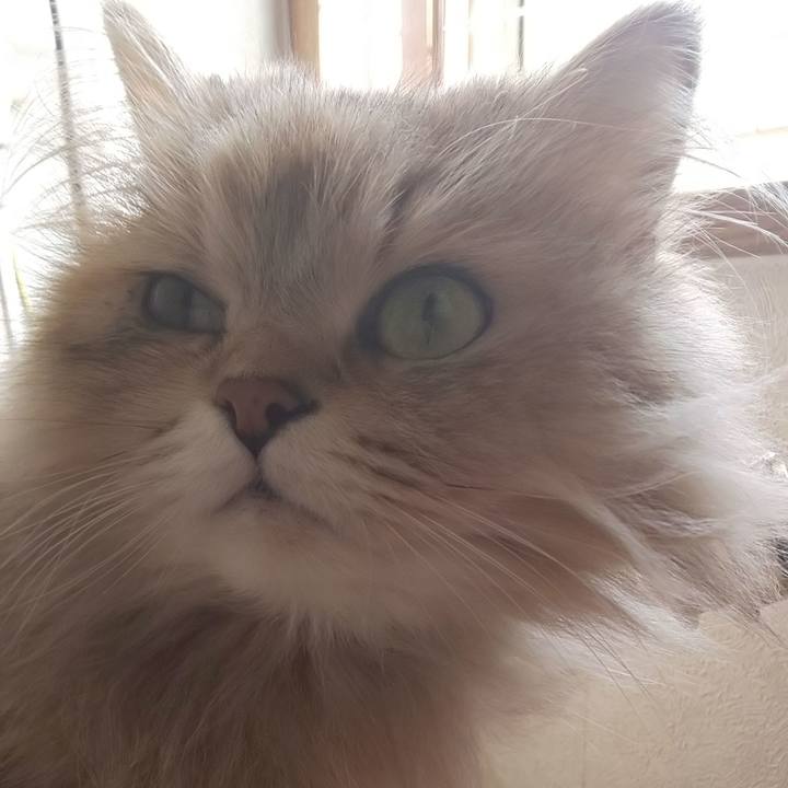 90a96360 77f9 4b9e b8ce dfb8e1154ef5 1618886831805