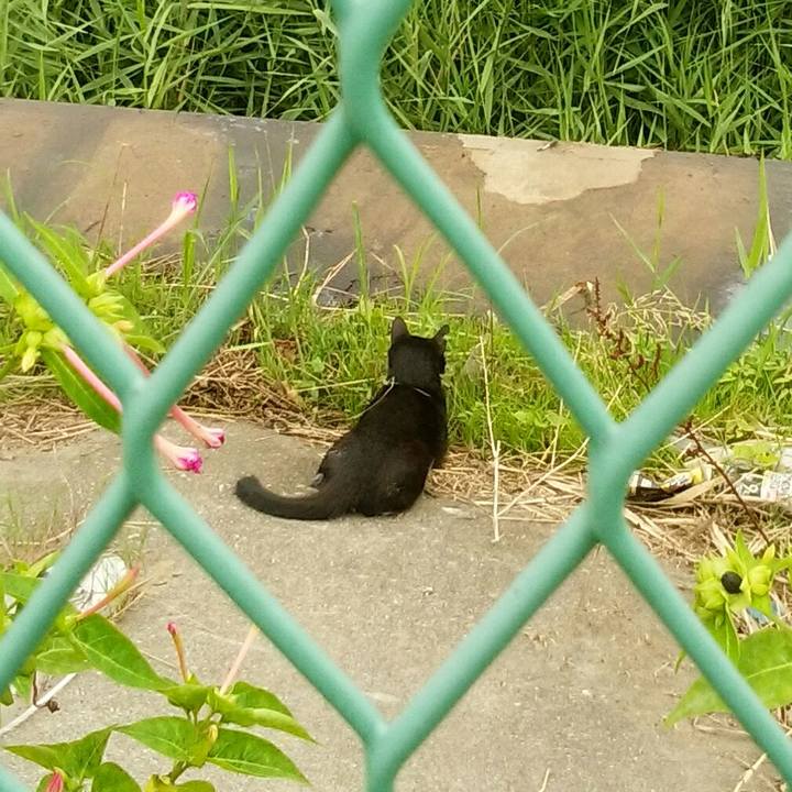 90a981b0 e8e4 4761 a485 d7faccba2328 1563689971688