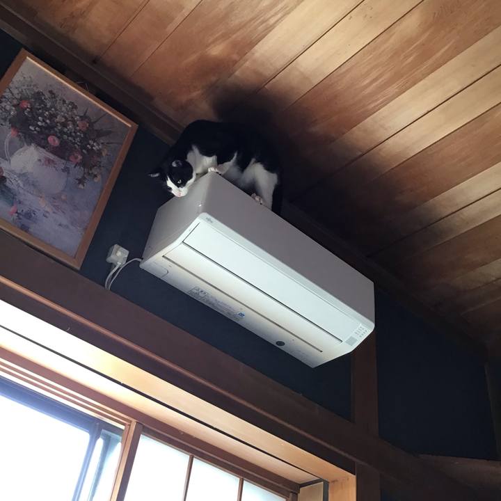 90a99397 a5eb 40d3 87ea 35ed97d44163 1712451926585