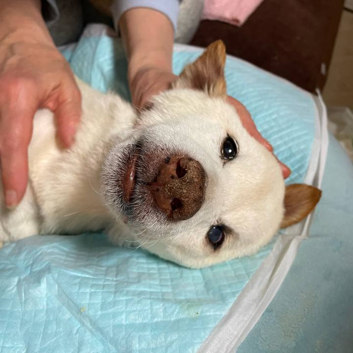 90a9acec de33 4fff b66b 3f832de54dd2 1677881693906