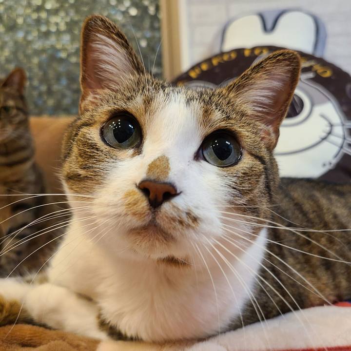 90a9d184 fc45 4441 addc a9a24995a2f6 1682167702945