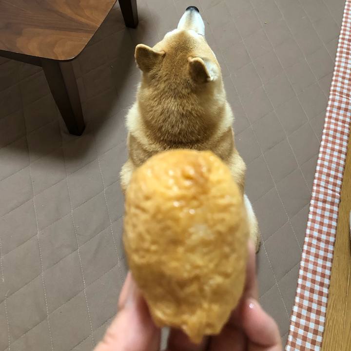 90a9d7e5 fe59 4cd5 abef e406a0493b0a 1556599652546