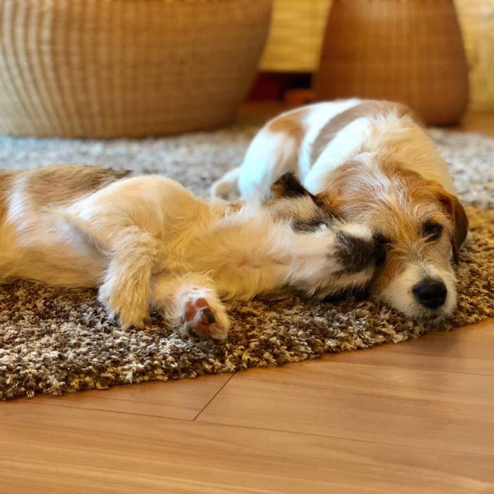 90aa7791 ad6f 4e01 a358 a3cdce41845e 1541941311642