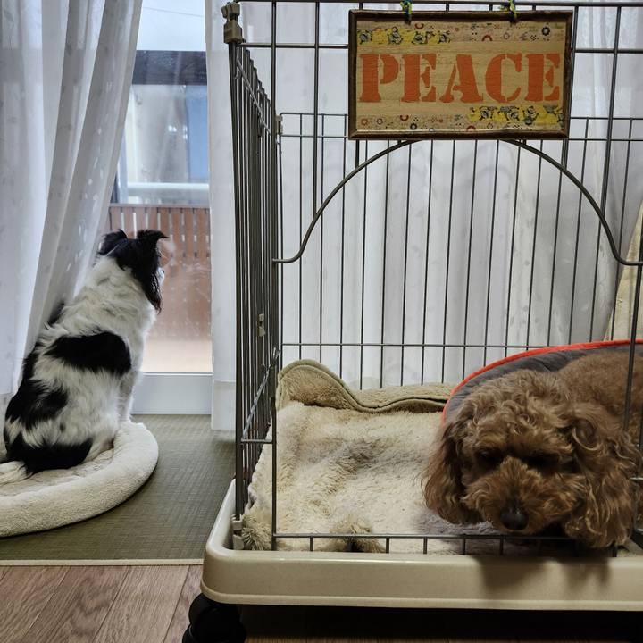 90aa9bc0 040e 407c 9539 fcfc1825f0d6 1767741923452