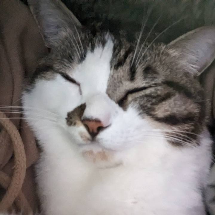 90aa9c9e efbd 4d42 a7a7 5f63dc4ebf09 1701690359944