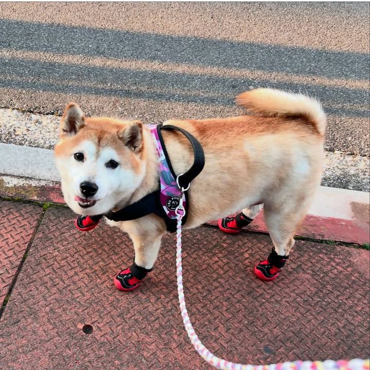 90aaa353 5b84 4341 b7ea ab4ae876cf1c 1758605788346