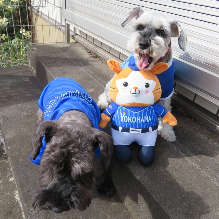 90aaa4f4 268a 4dfc ad10 47249b160919 1731210747153