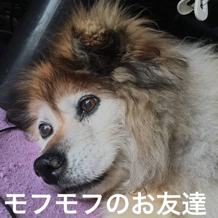 90aaab12 0161 4151 8349 002623039620 1626669751878