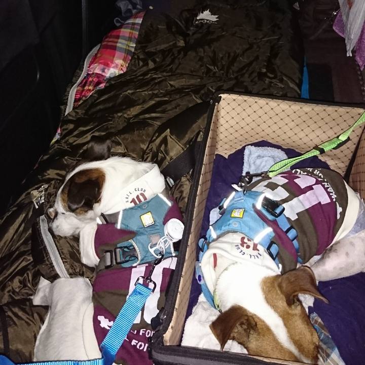 90aaad6a 9dad 4a3a a31a 04d5f066f4a3 1600603372288