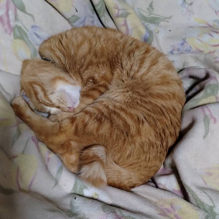 90aaaf91 e990 47a4 9359 3869fdb16762 1674565292150