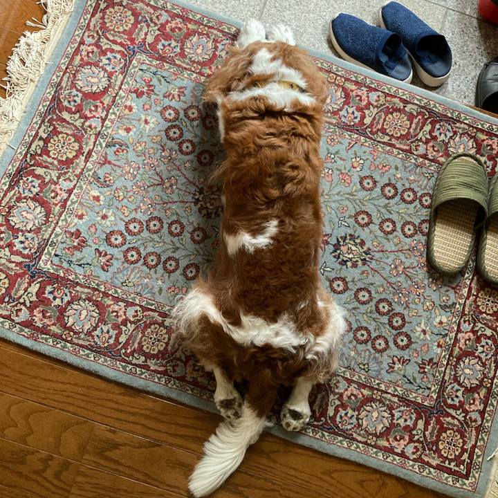 90aac9e3 f977 40d3 97d1 aa325a66ffcc 1731677817535