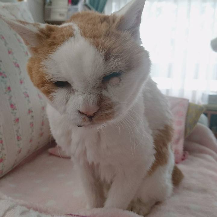 90aae5a7 3f39 49ef abf8 366d68905907 1624057565242