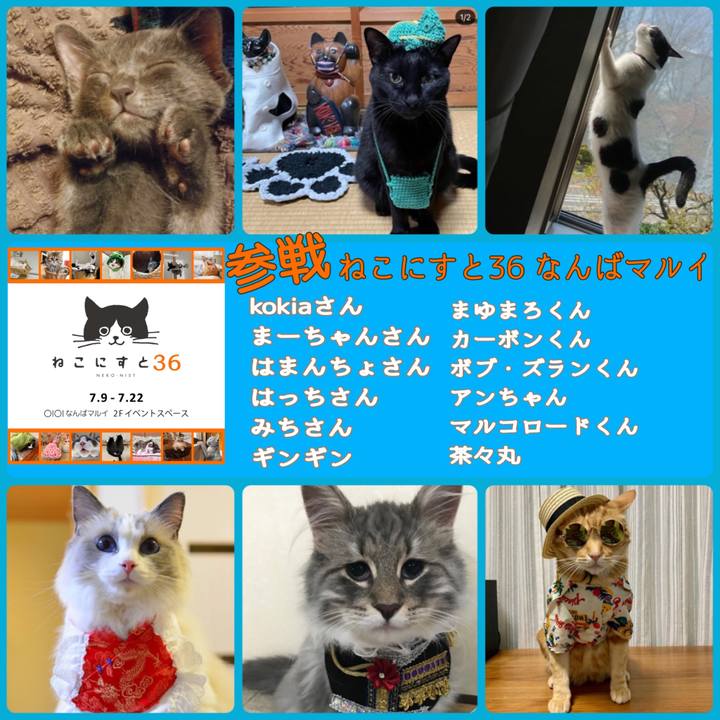 90aaf361 7205 4fc9 b86f 15d4ade6e879 1625455618806