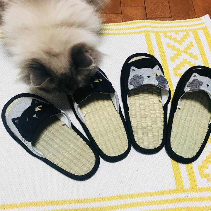 90aafb0e 6c2b 4be8 879f 788ed6ddc7f2 1525731958130