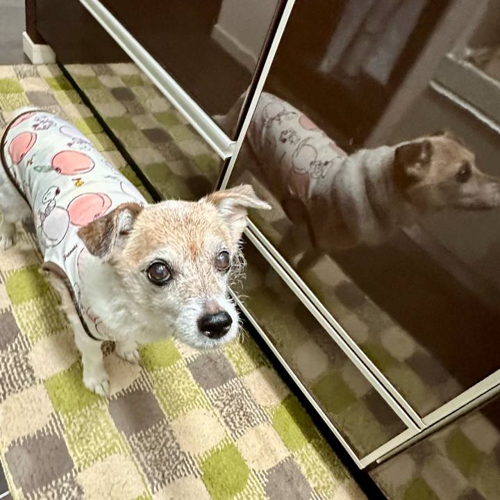 90aafb13 b30f 4619 a071 3a6cfe472e48 1723972802587