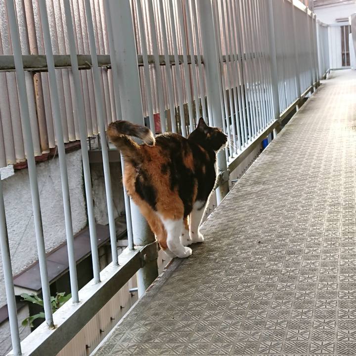 90ab0163 4a5b 4d8c 9b4a 62a194f66dc2 1665279897884