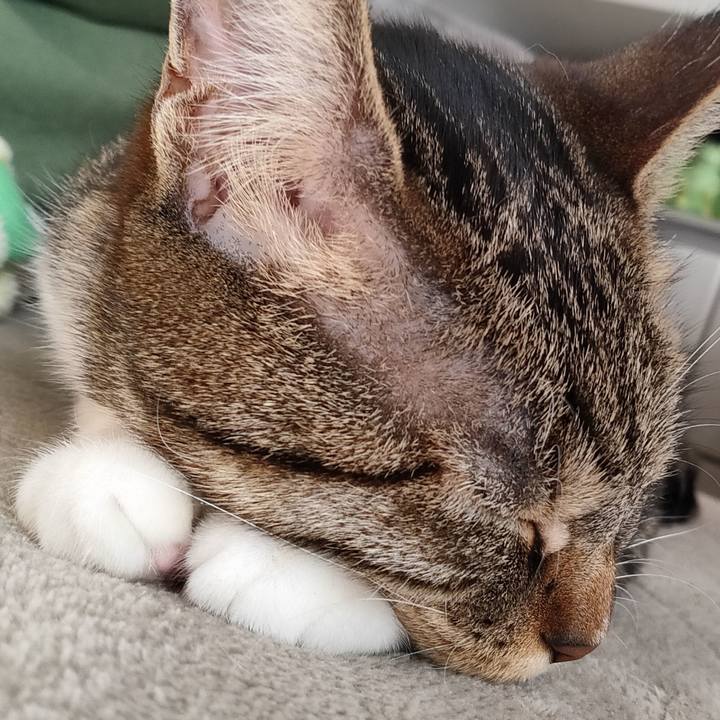 90ab2dcd 3f38 446a 954a 858999e6ad38 1675306358882