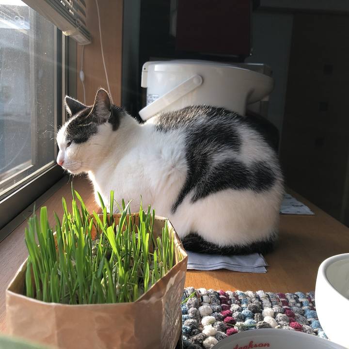 90ab3c77 1d92 4014 80e2 231f6ba67aec 1681164551640