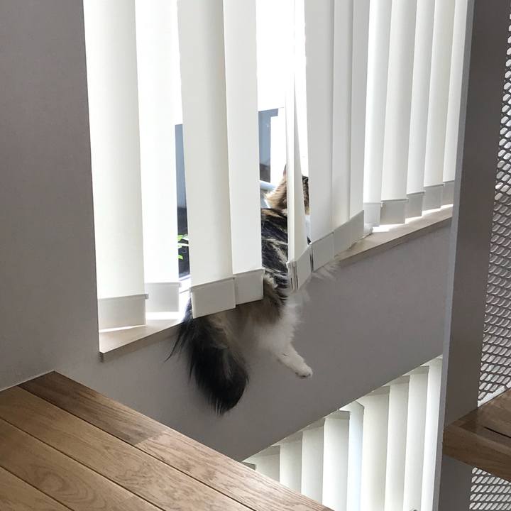 90ab3cbd e7d6 47af abff 987dd2a42d3c 1526597831524