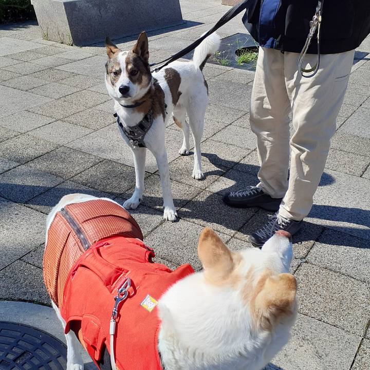 90ab5d06 cd38 4330 a3f4 95db91eaf2d0 1774084880278