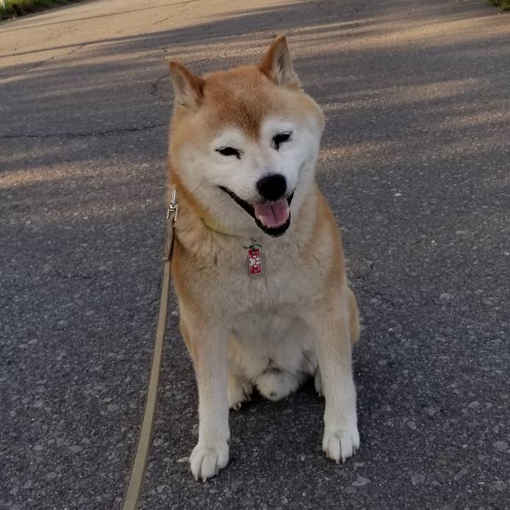 90ab72b0 a381 4ab6 8f90 bb25886e3842 1686990566068