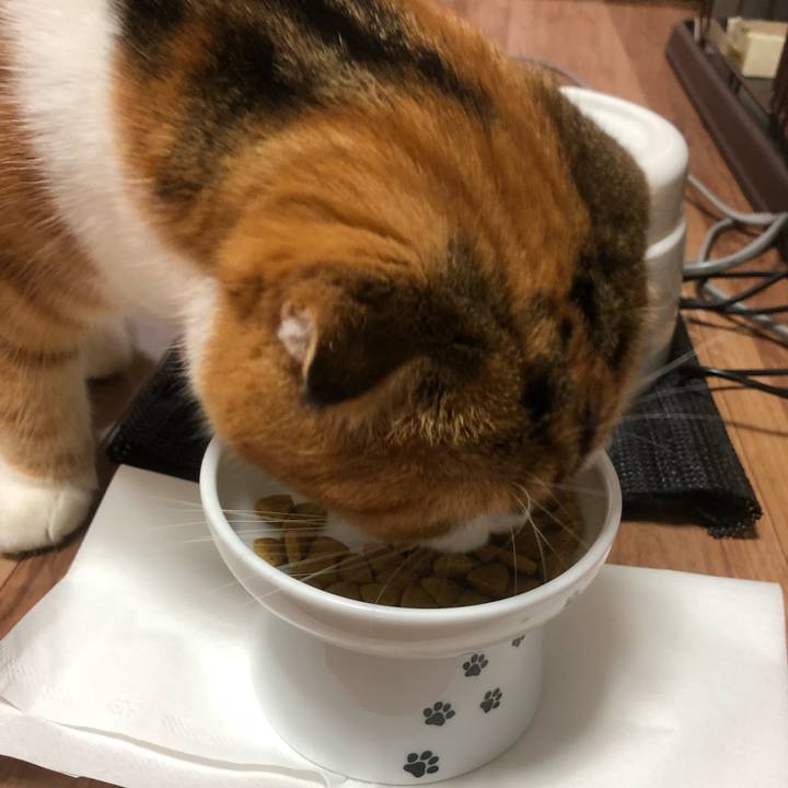 90ab7ac3 90df 46b5 9070 8c4da42c2321 1529219849495