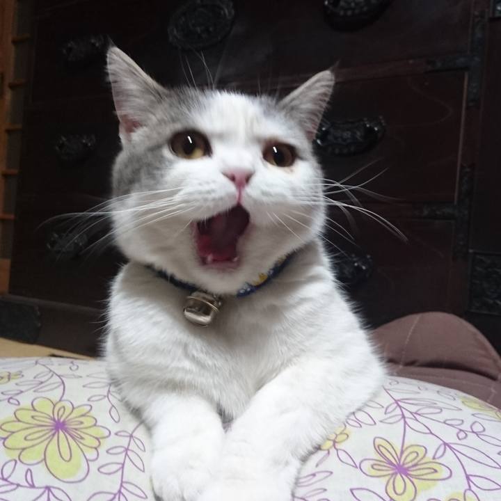 90ab84b7 a4d4 47d0 9706 85b8e3d0074e 1604221577675