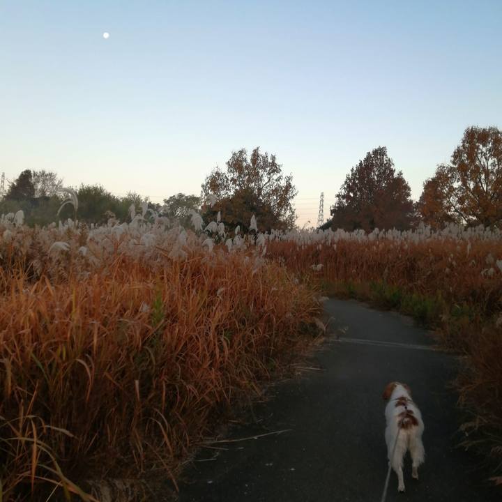 90ab8fc0 d00e 4bbe 81f6 d5d0b5aaacdc 1606994193298