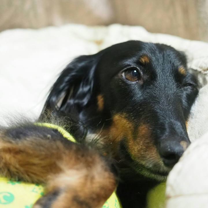 90abbbf4 f4d8 46c6 bcc8 16d9ed291476 1562247447030