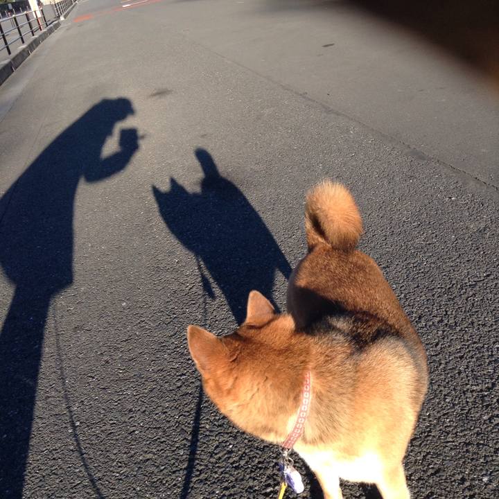 90abc313 3a38 4300 acb6 3d88c2692f41 1514849669138