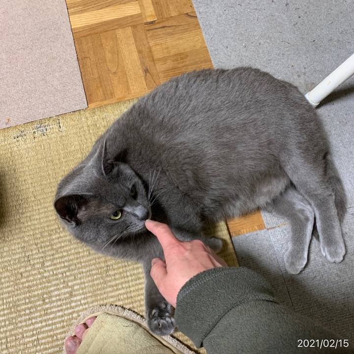 90abd579 1aed 408f 8962 d27850845e1f 1613394880714