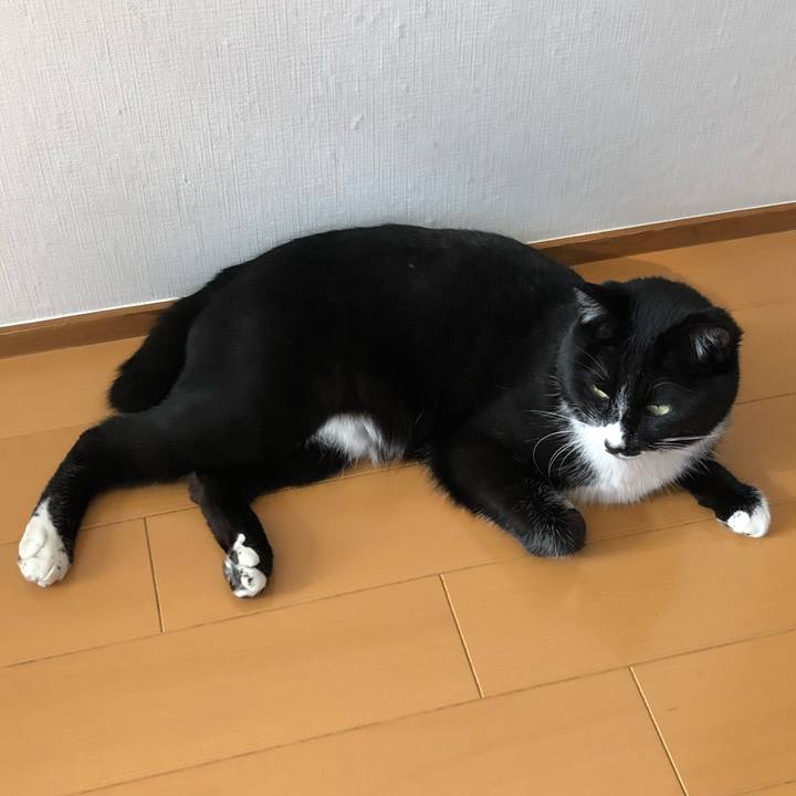 90ac0ec9 129a 49f1 ba7b 2b6320f27608 1551931028647