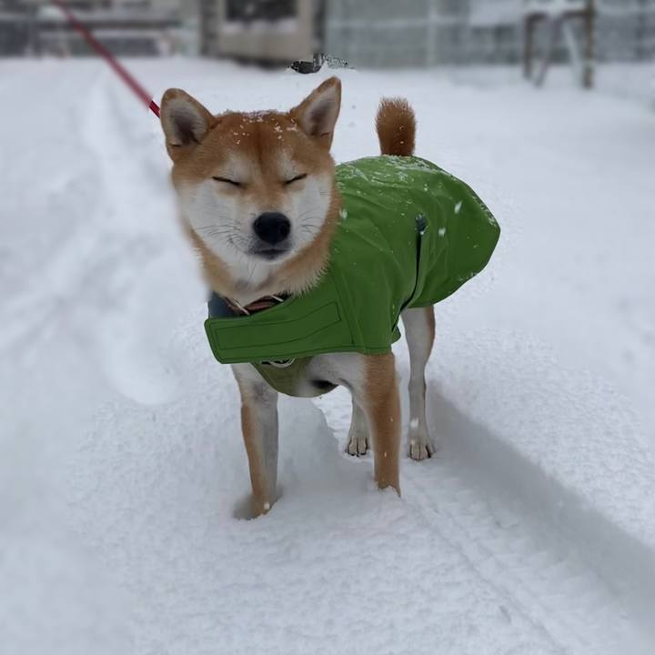 90ac28a8 147a 43c8 9d6f 2fd8e7ebdc7f 1671836145500