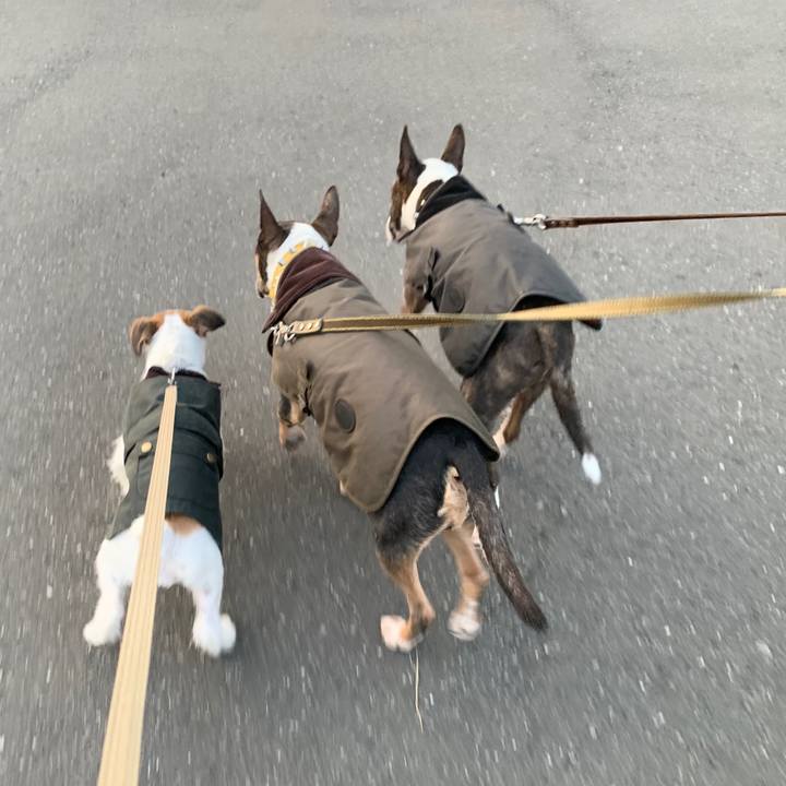 90ac37e3 7ae1 4c07 841b 6a2e68431110 1576396394999