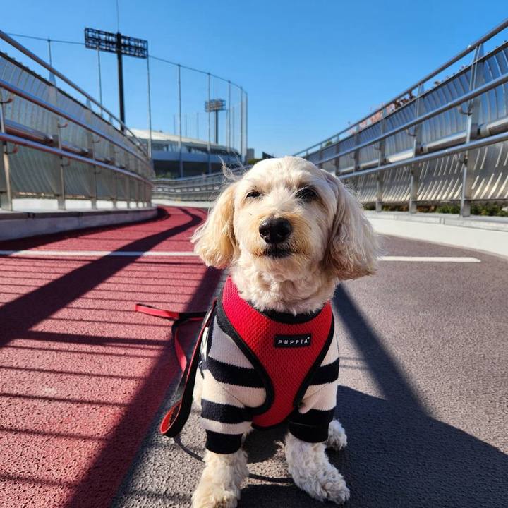 90ac3866 9002 4c5f b545 b3b4590f7834 1764389195536