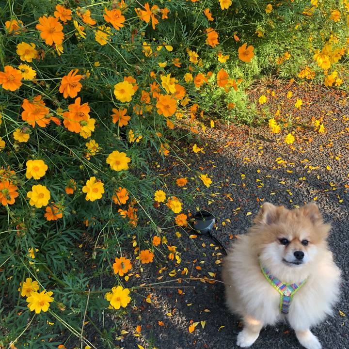 90ac7acb 3546 4700 8246 3c58f5f29fbd 1632443994184