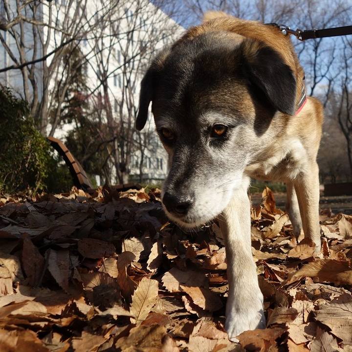 90ac8c72 a475 460d a983 0d7a63ecd073 1518314242256