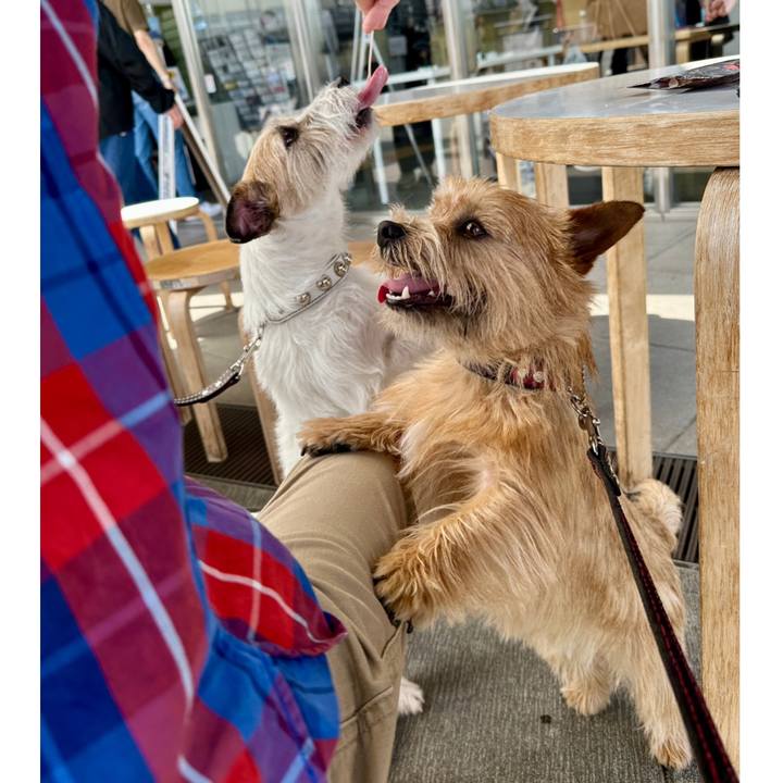 90acb302 9cd9 4832 b563 1ca21f5531bd 1745121079820