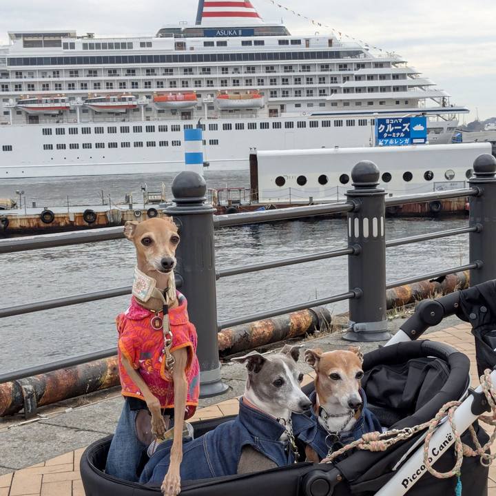 90acc096 bb0e 4ff8 bce6 1b6805aac777 1773980509355