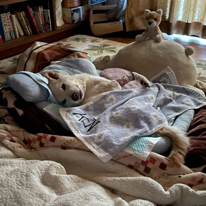 90acca27 3e4d 4a61 91b3 8dfc835da0bc 1683750842725