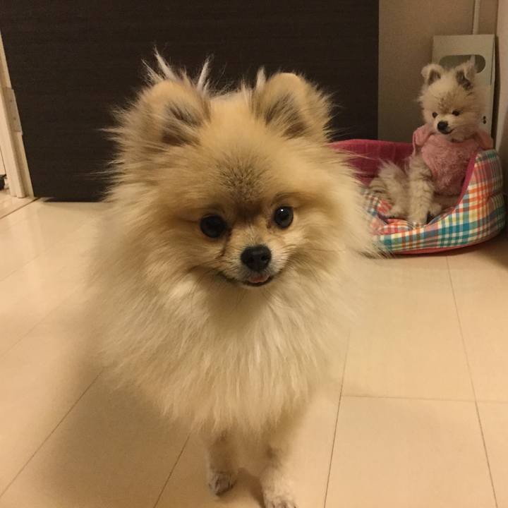 90accb68 3820 4631 98ca 3aafcdc21ee7 1549466231343