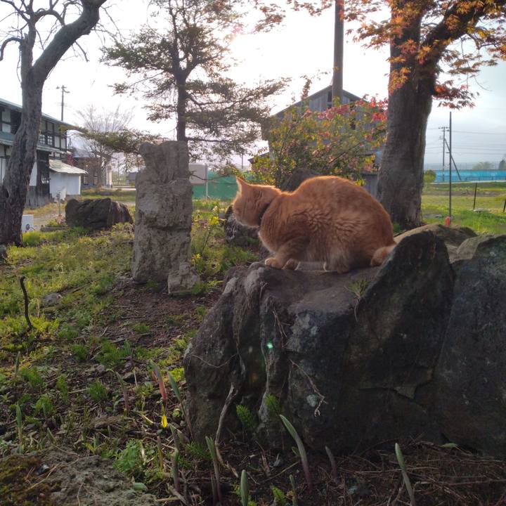 90ace2bf ba39 47f0 a54e 7877baf196ce 1682544836782