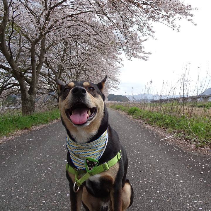 90ad5d52 ea1a 4302 8006 9f01455fd984 1617453969095