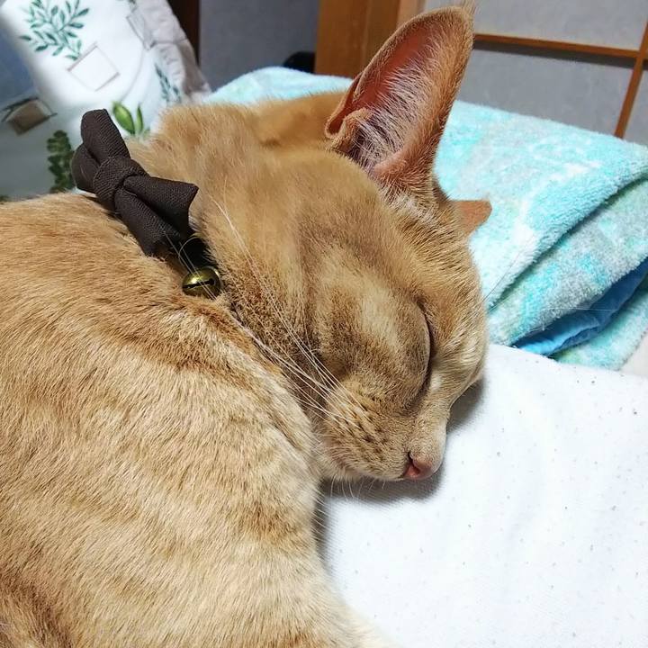 90ad76b8 f226 4268 a75d 0d27886c86c5 1618834727573