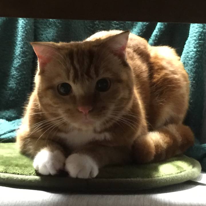 90ad978c 315c 4cfd ba85 b0401f24c44d 1518653797774