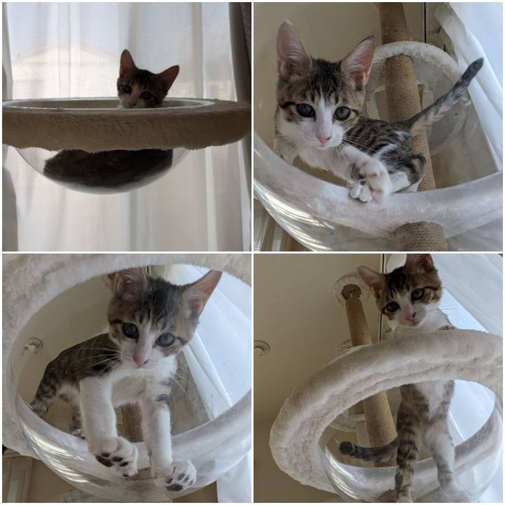 90ae7503 e3a7 4b45 8f73 059d58297271 1730705422646