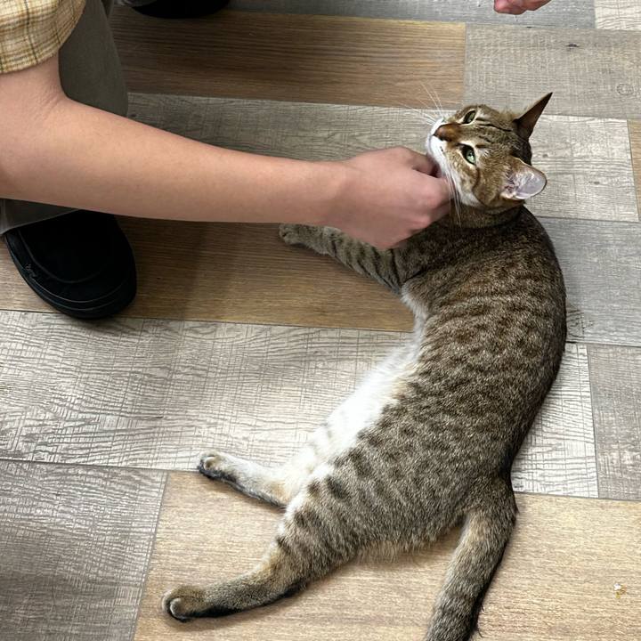 90ae8cc2 b28f 420e a785 8b1a1bf780ed 1757976860467