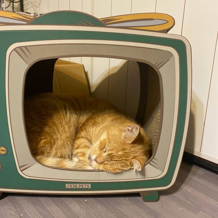 90aeaca7 7851 4dcf 87fc 17edf4622b73 1631793627060