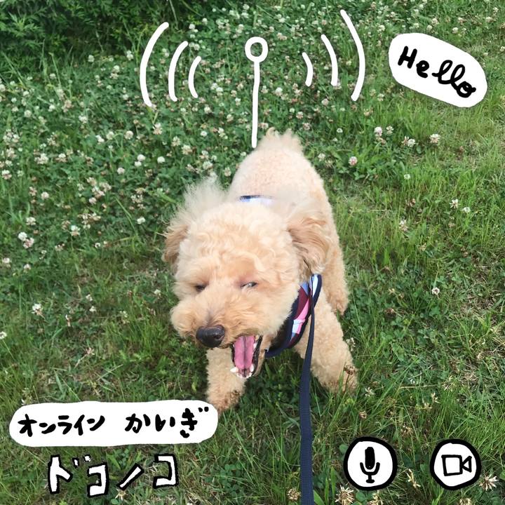 90aeb2aa f707 4b03 b276 722a0ce8f34d 1590726238525